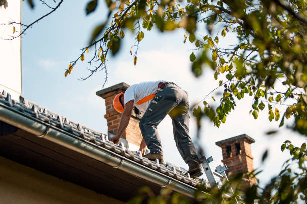 Best New Roof Installation  in Veneta, OR